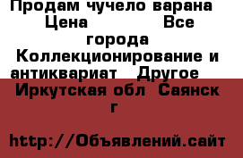 Продам чучело варана. › Цена ­ 15 000 - Все города Коллекционирование и антиквариат » Другое   . Иркутская обл.,Саянск г.